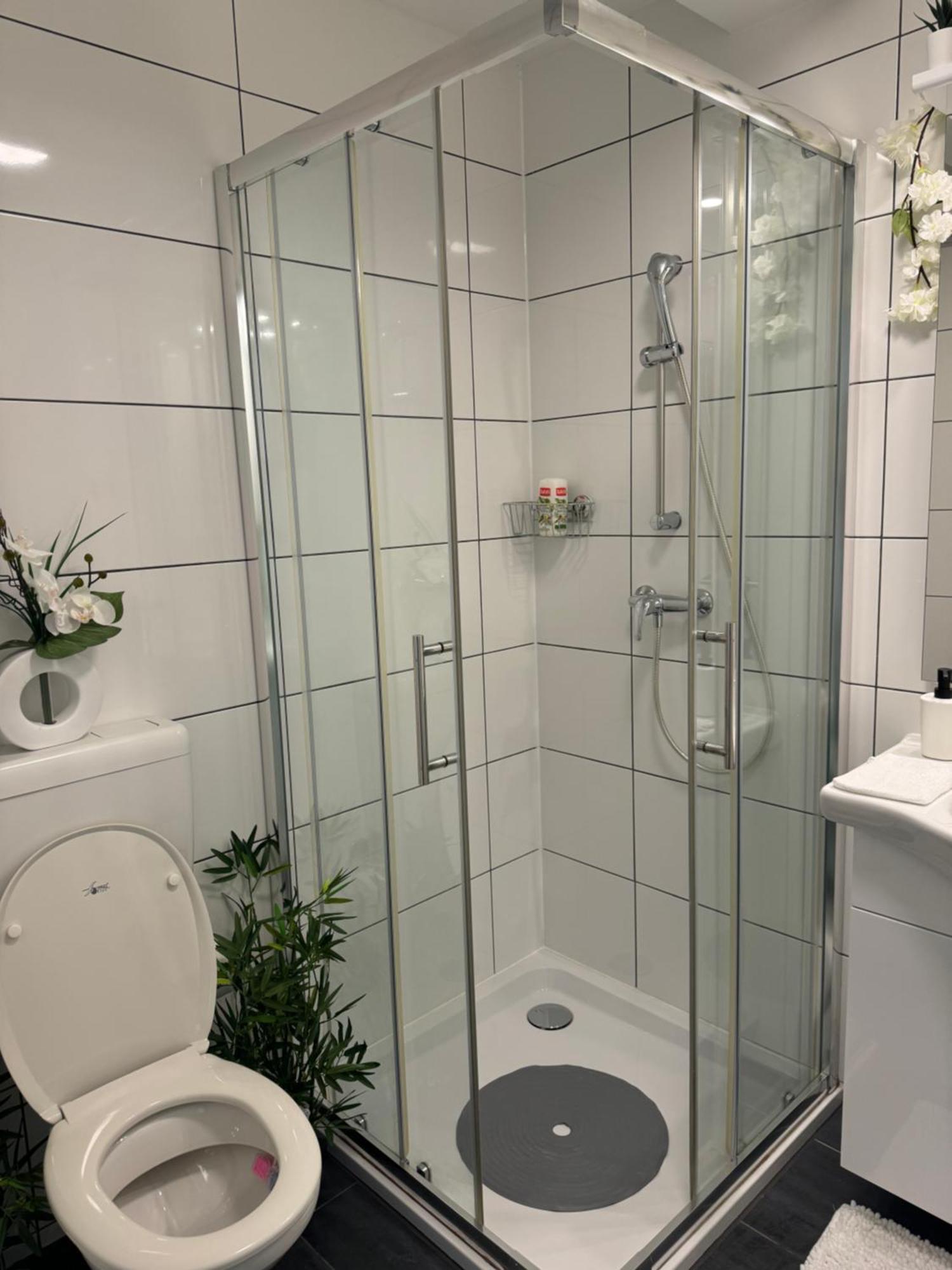 Eine Schoene Bei Der Erlenmatte Apartment *